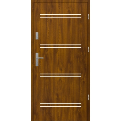 Drzwi A10 INOX Złoty Dąb 55 mm